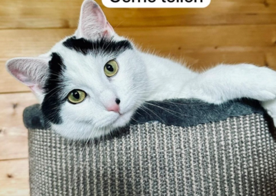 Feli, Waidring  (03/2026)