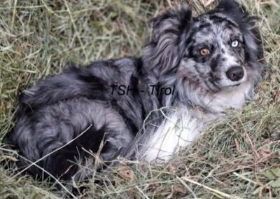 Toni, Zellberg  (03/2026)