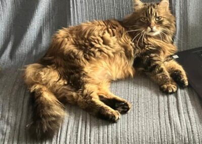 Flauschi, Absam  (04/2026)