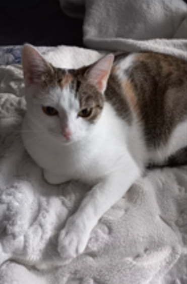 Lilly, Angath  (04/2026)