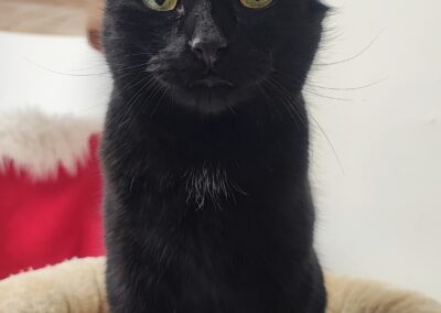 Clara