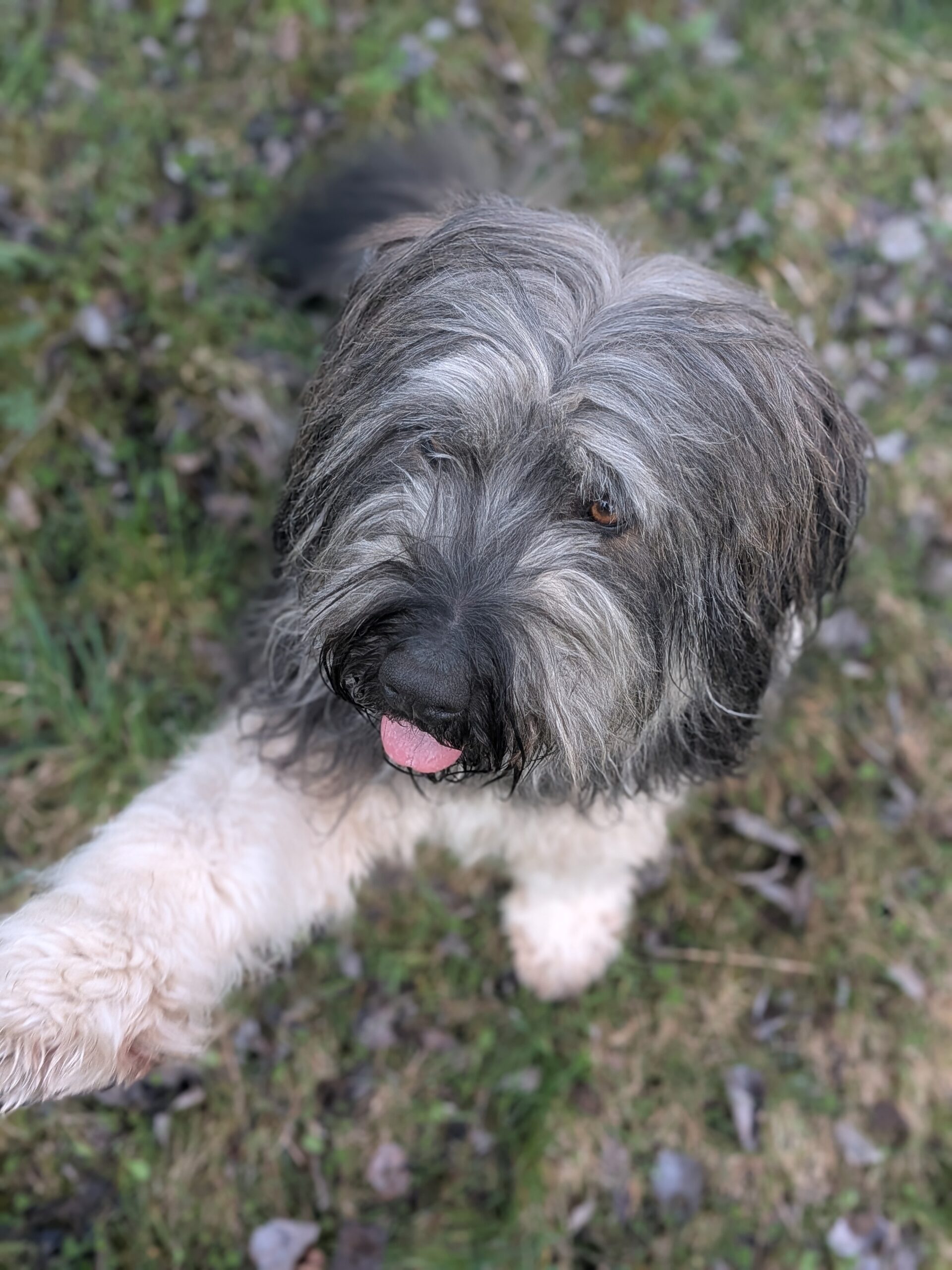 Gandalf3