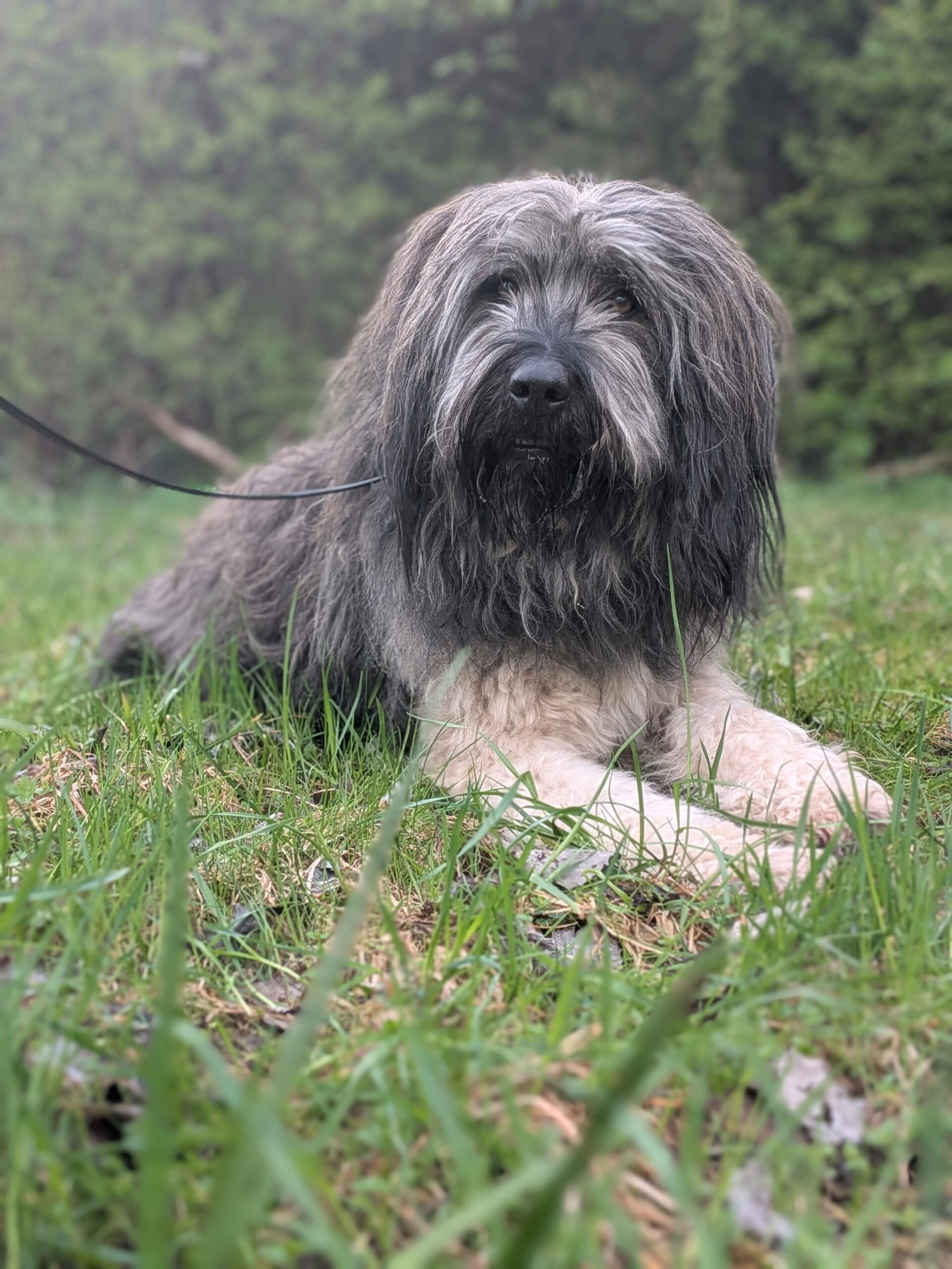 Gandalf5