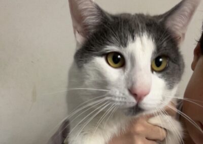 Cosmo, Innsbruck  (04/2026)