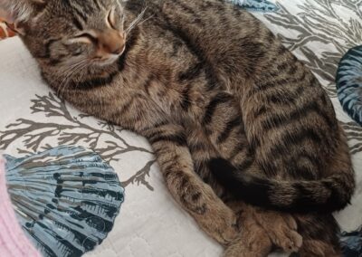 Tommy, Innsbruck  (04/2026)