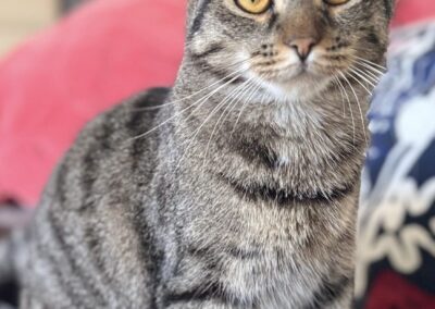 Babri, Mötz  (04/2026)