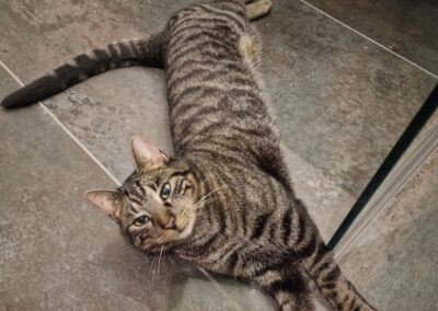 Lucy, Ramsau im Zillertal  (04/2026)