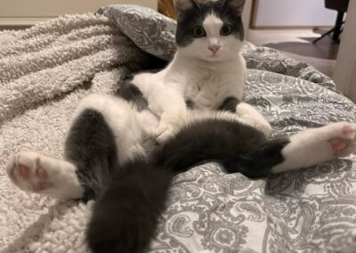 Lani, Schwoich  (04/2026)