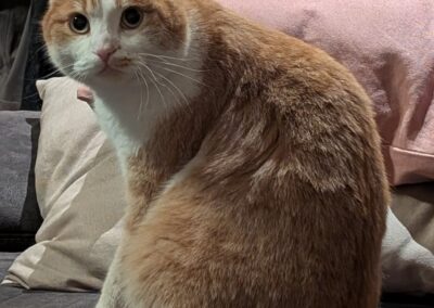 Manni, Völs  (04/2026)