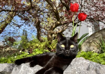 Jamie, Völs  (04/2026)