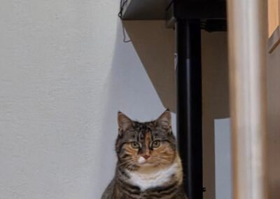 Lilo, Völs  (04/2026)