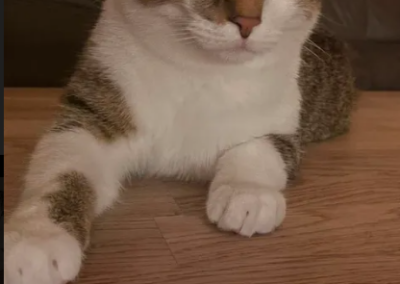 Timon, Absam  (05/2026)