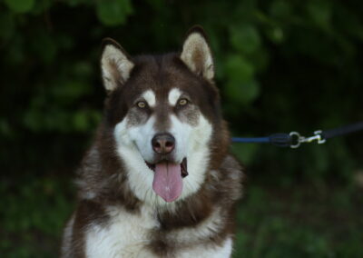 Denali