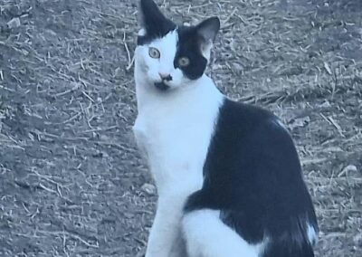 Bella, Fulpmes  (05/2026)