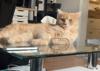 Nacho, Innsbruck  (05/2026)