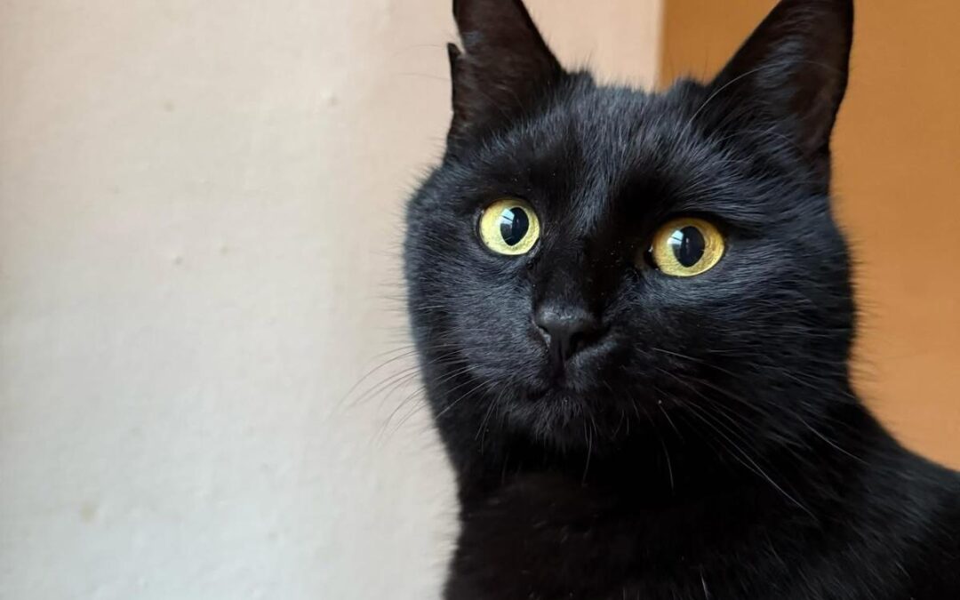 Lucy, Jenbach  (05/2026)