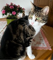 Jimmy, Unterlangkampfen  (05/2026)