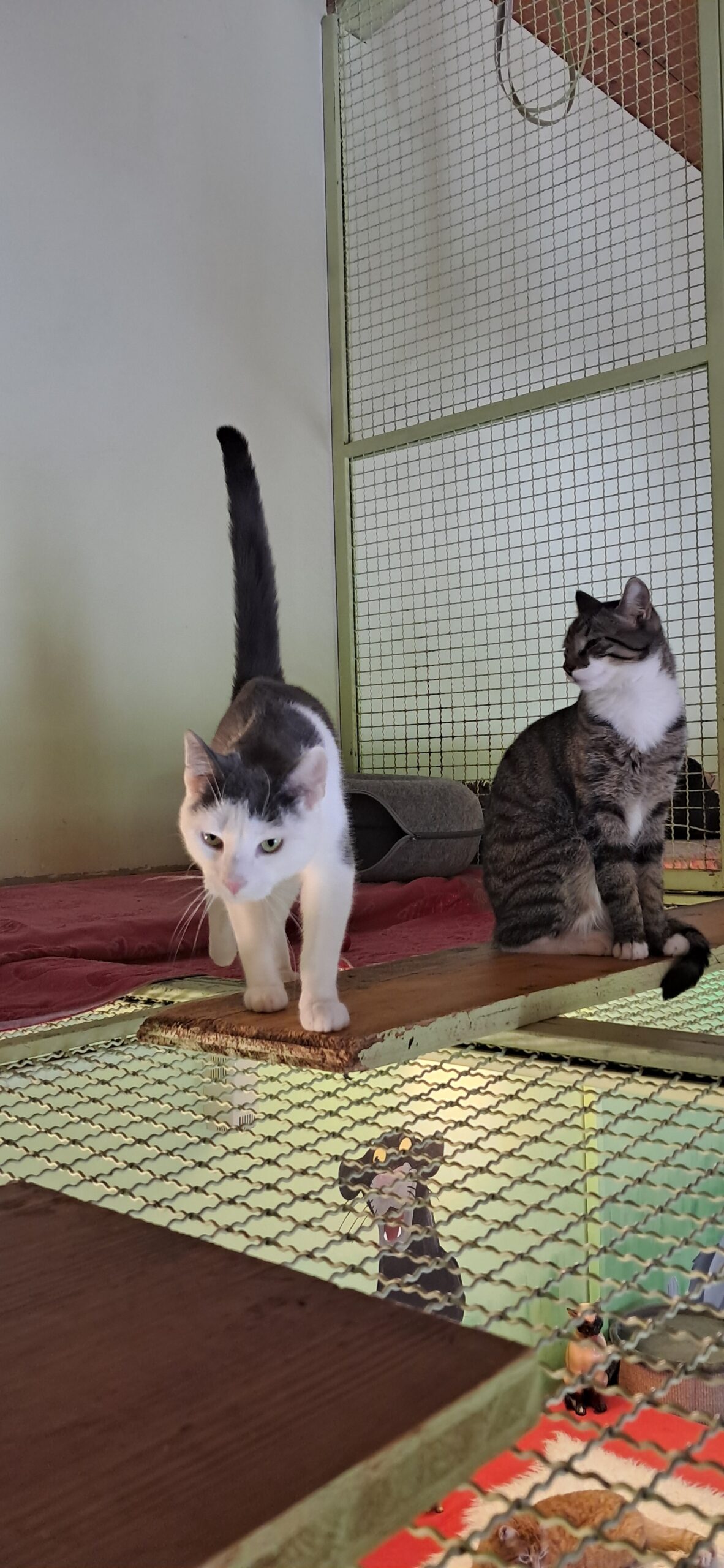MIlo&Ori2