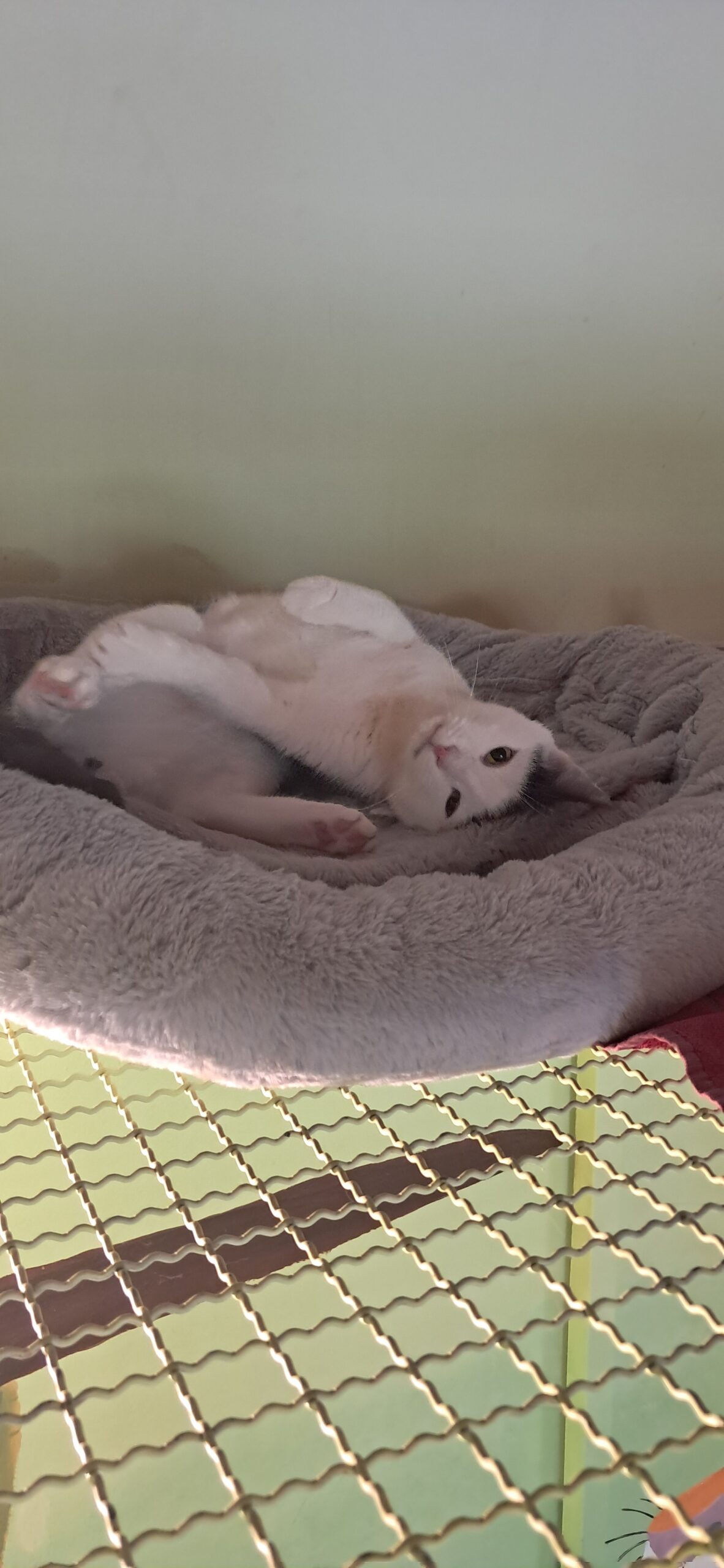 Milo&Ori3