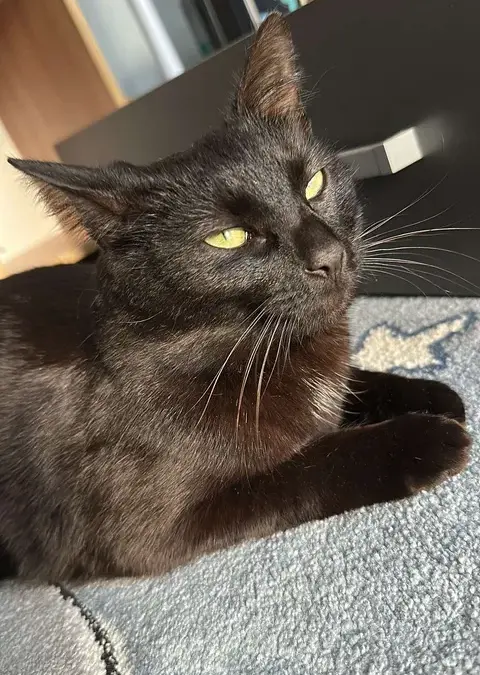 Milo, Uderns  (05/2026)