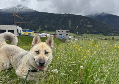 Yuki