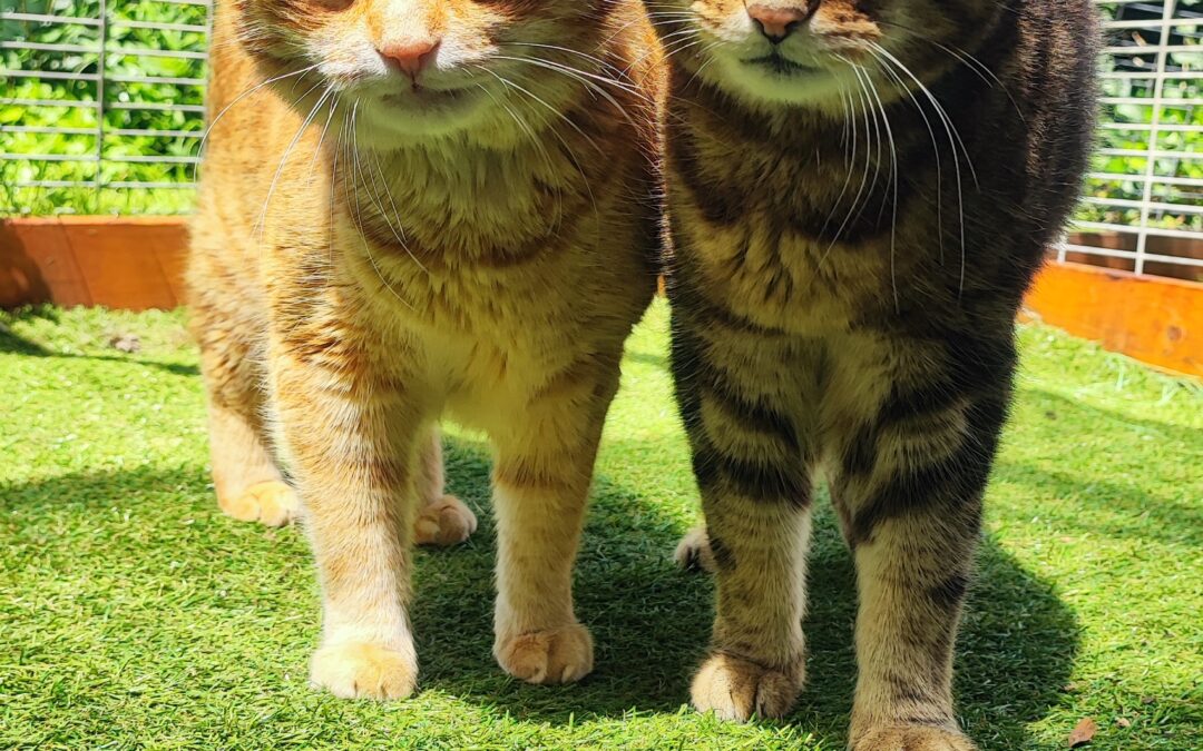 Max & Leo