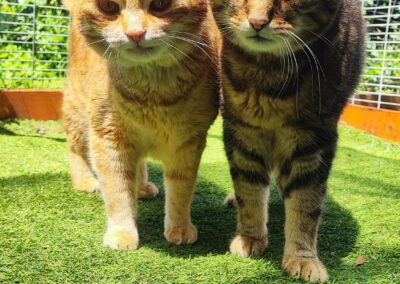 Max & Leo