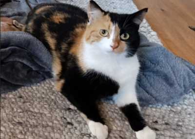 Molly, Brandenberg  (06/2026)