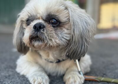 Hubert