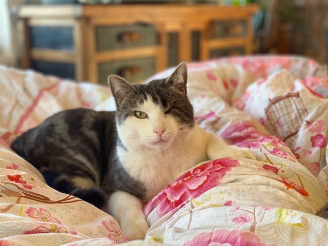 Louis, Mutters  (06/2026)