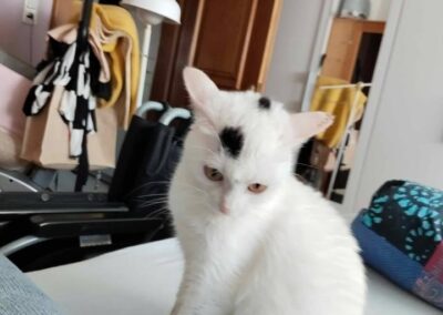 Hexi, Reutte  (06/2026)