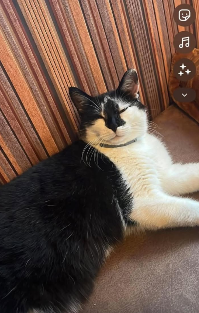 Jacky, Schwoich (06/2026)