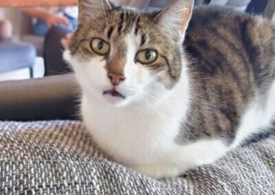 Leo, Absam  (07/2026)