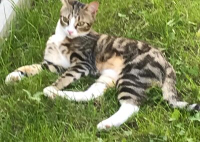 Tilo, Axams  (07/2026)