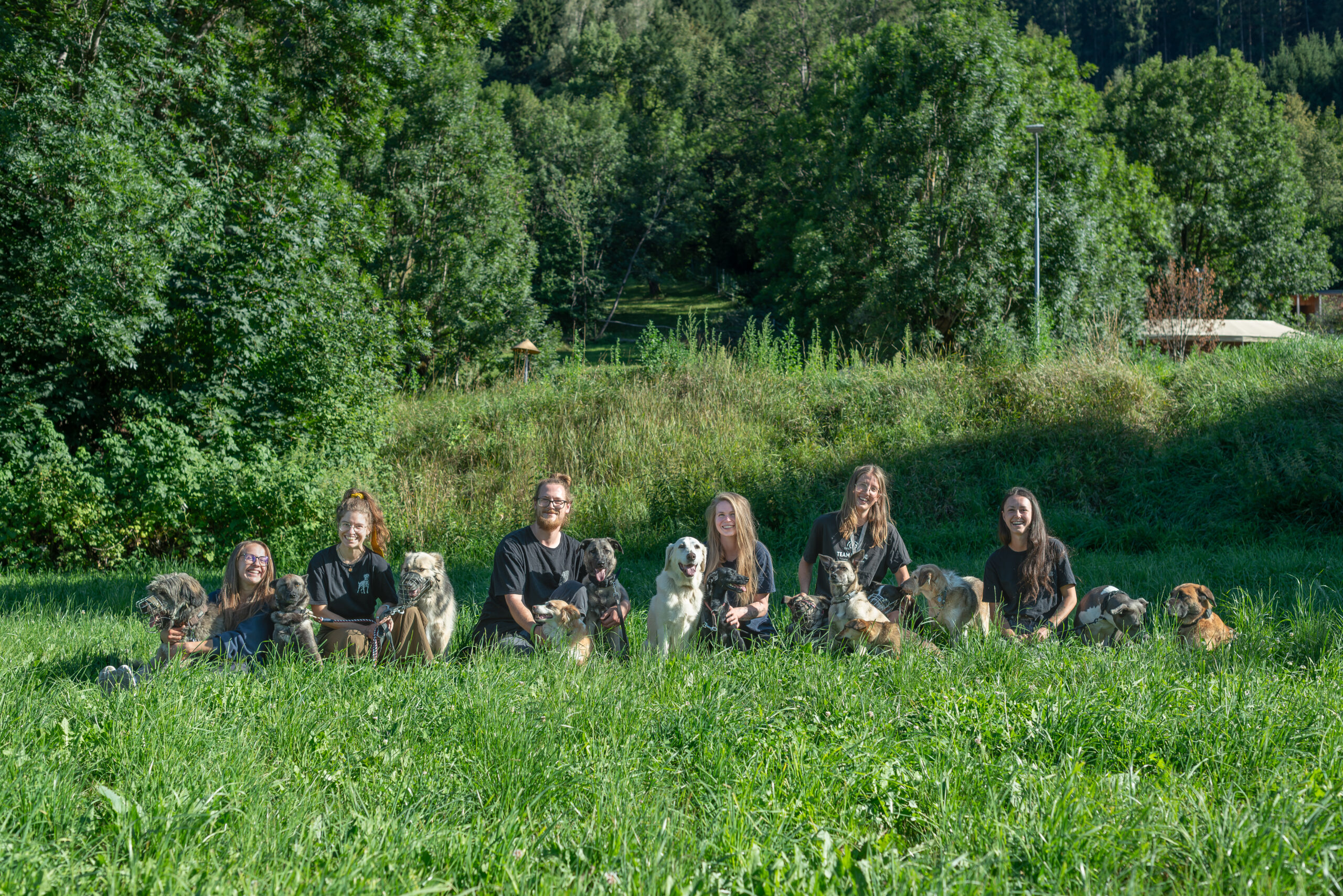 _DSC9290 Hundeabteilung