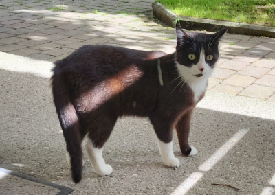 Gina, Ebbs (07/2026)