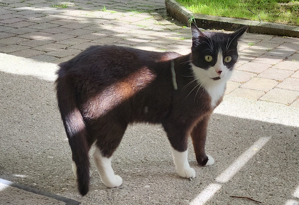 Gina, Ebbs (07/2026)