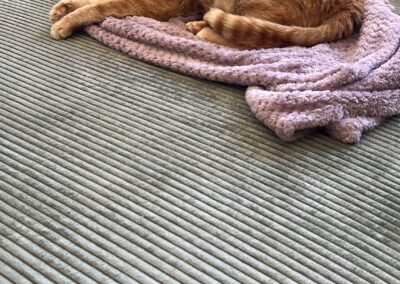Pumpkin, Inzing (07/2026)