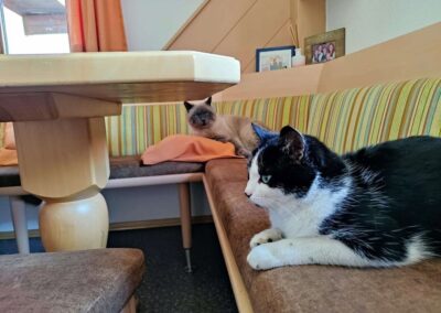 Franzi, Kapfing  (07/2026)