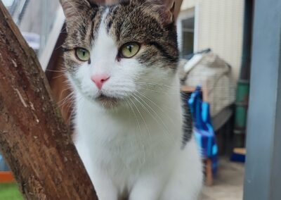 Mimi