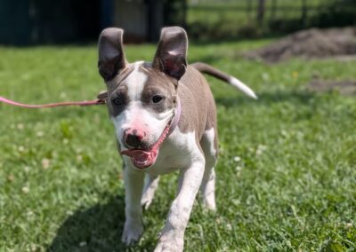 Bonnie