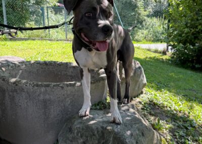 Pablo