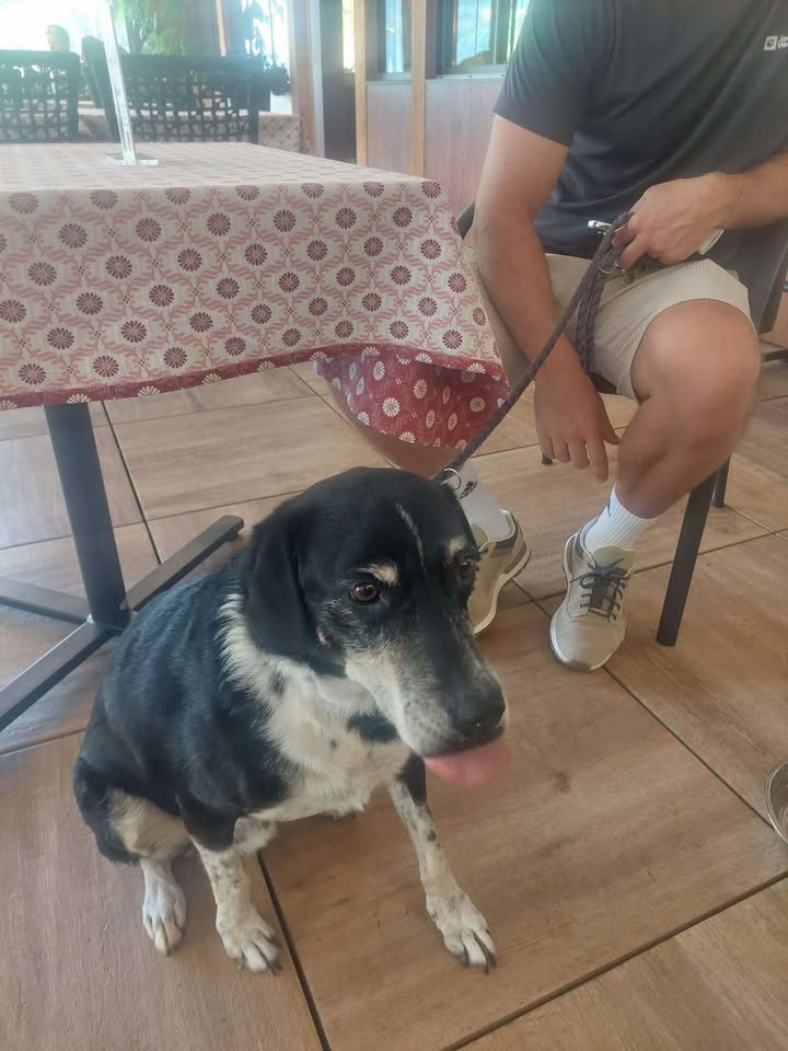 Pertisau_Fundhund_HotelHubertus