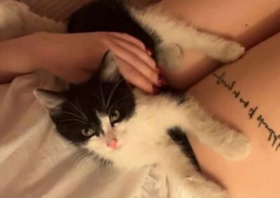 Fundtier Kater, Schwoich (07/2026)
