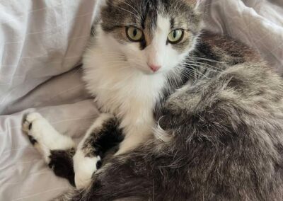 Max, Telfs  (07/2026)