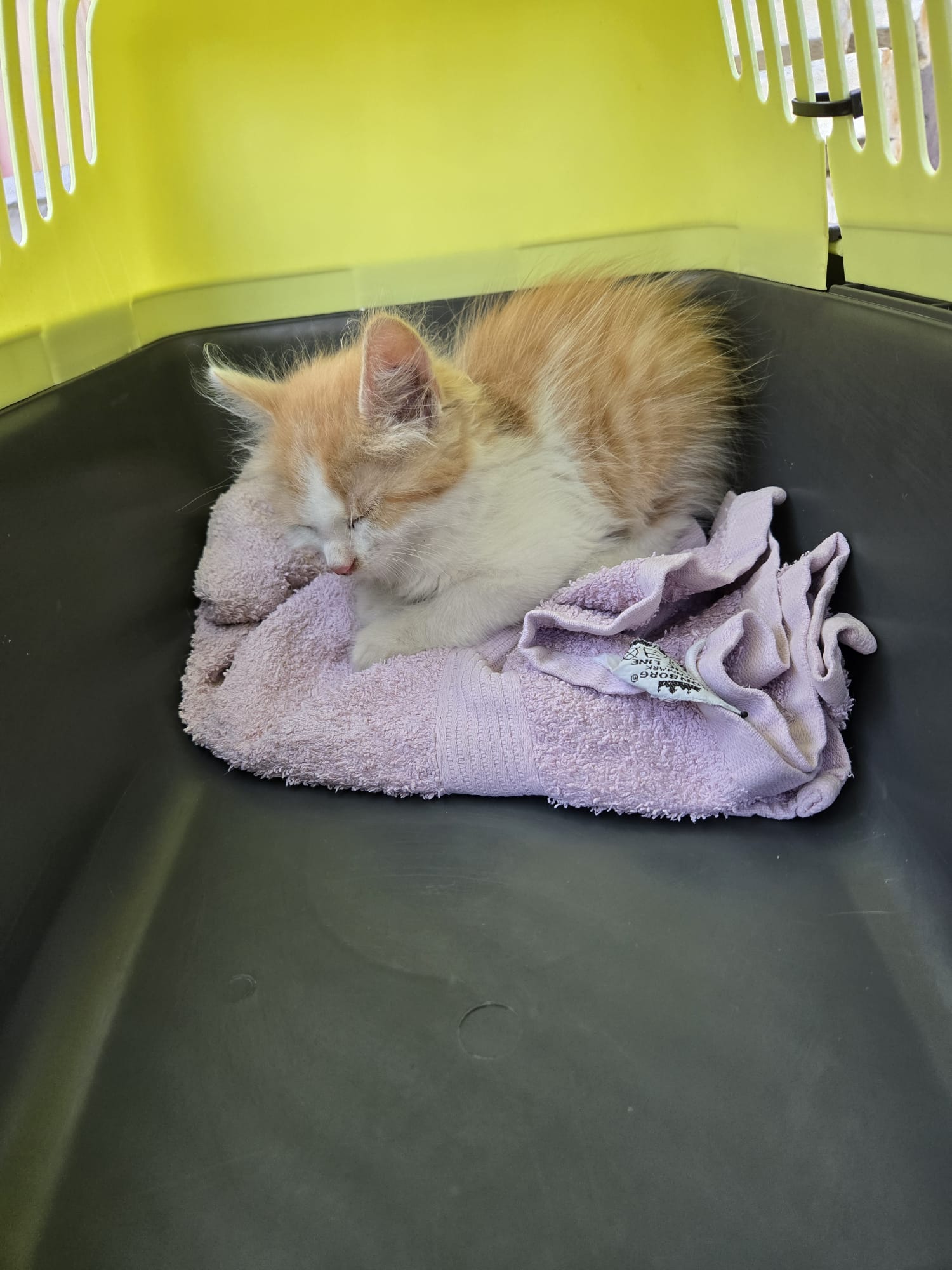 Angerberg_FUndkater_Gemeindeamt