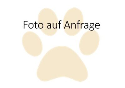 Totfund Katze, Mutters (08/2026)