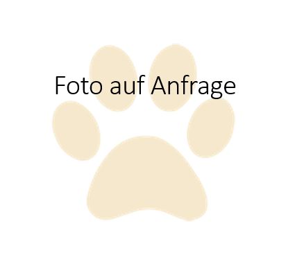 Foto auf Anfrage