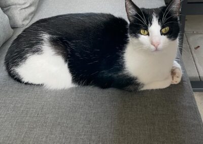 Frieda, Angerberg/Unholzen (08/2026)