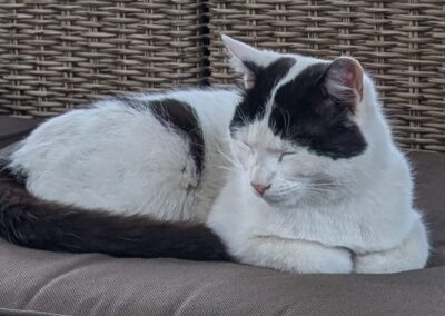 Oskar, Imst (08/2026)